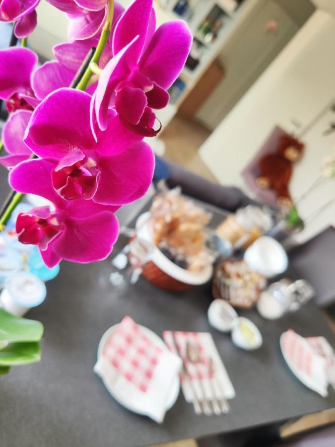 B&B Luvi Verona Luaran gambar